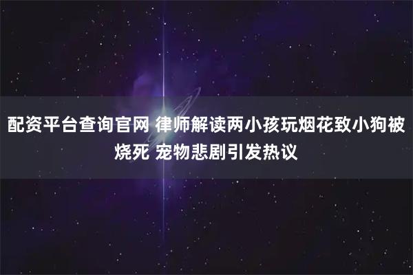 配资平台查询官网 律师解读两小孩玩烟花致小狗被烧死 宠物悲剧引发热议